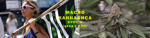 шишки Осташков